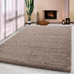 UETIAN Luxurious Shaggy Rugs Soft Extra Thick Area Rugs Heavy 5Cm Dense Pile For Living Room Bedroom Hallway (Dark Beige, 60 X 110Cm)