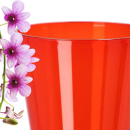 B2C Plant Orchid Pot Plastic  Gloss Oval Planter 12 Cm Red Round - thumbnail 4