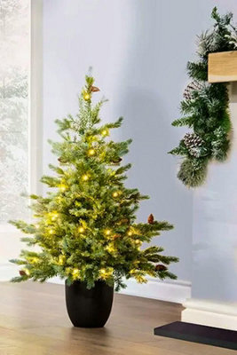Christmas Tree World The 3Ft/90Cm Pre-Lit Cairngorm Pine Potted Tree (Outdoor) - image 1