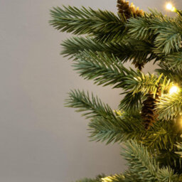 Christmas Tree World The 3Ft/90Cm Pre-Lit Cairngorm Pine Potted Tree (Outdoor) - thumbnail 3