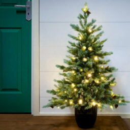 Christmas Tree World The 3Ft/90Cm Pre-Lit Cairngorm Pine Potted Tree (Outdoor) - thumbnail 2