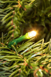 Christmas Tree World The 3Ft/90Cm Pre-Lit Cairngorm Pine Potted Tree (Outdoor) - thumbnail 8