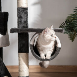 Pawhut Kitten Tower Adjustable 240-260Cm, Scratch Posts, Houses, White - thumbnail 9
