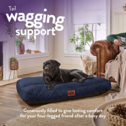 Slumberdown Dog Bed X Large, Blue - thumbnail 3