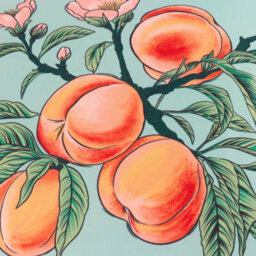 Furn. Anemone Peaches Outdoor Cushion Cover - thumbnail 4