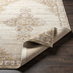 Livabliss Fifth Avenue-Vintage Brown Off-White Grey Traditional Boho Fringe Living Dining Bedroom Rug 152 X 225 Cm Easy Care, Non Shedding - thumbnail 4