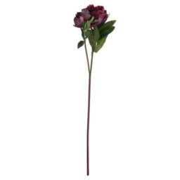 Hill Interiors Uk Homeliving Burgundy Peony Rose - thumbnail 4