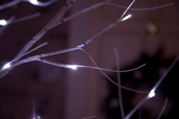 Snowtime Pre-Lit Led Birch Tree Snow Flocked Christmas Lights Indoor/outdoor Ice White 1.5M - thumbnail 3