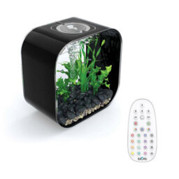 Oase Biorb Life 30L Aquarium Fish Tank In Black With Multi Colour Led Lighting - thumbnail 1