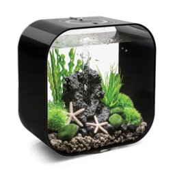 Oase Biorb Life 30L Aquarium Fish Tank In Black With Multi Colour Led Lighting - thumbnail 2