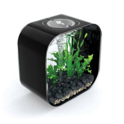 Oase Biorb Life 30L Aquarium Fish Tank In Black With Multi Colour Led Lighting - thumbnail 3