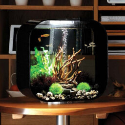 Oase Biorb Life 30L Aquarium Fish Tank In Black With Multi Colour Led Lighting - thumbnail 4