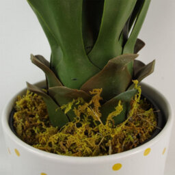 Leaf Artificial Yukka Tropical House Plant Plastic Pot 55Cm Faux House Plants Botanik - thumbnail 6
