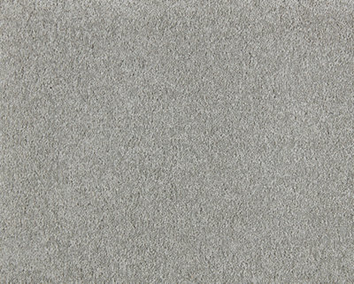 Soft Perfection Luxury Carpet By Remland (Paloma, 5M X 4M) - image 1