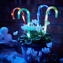 Pack Of 4 Candy Cane Led Light - Battery Powered - 20 Led Lights In Total - With Weatherproof Battery Box - Perfect For Christmas
