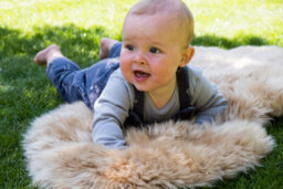 Naturally Sheepskins New Zealand Single Rug - Bronze - thumbnail 4