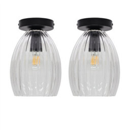 First Choice Lighting Set Of 2 Birch - Clear Fluted Glass Black Ceiling Light Fittings - thumbnail 1