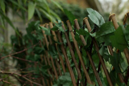 Primrose Extendable Artificial English Ivy Screen Garden Fencing Screening Trellis 2.0M X 1.0M - thumbnail 4