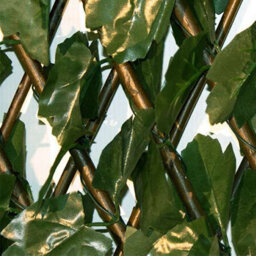 Primrose Extendable Artificial English Ivy Screen Garden Fencing Screening Trellis 2.0M X 1.0M - thumbnail 3