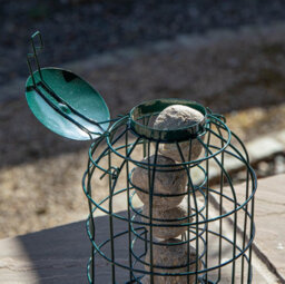 Samuel Alexander Metal Hanging Bird Fat Ball Feeder With Squirrel Guard & Pack Of 6 Suet Fat Balls - thumbnail 7