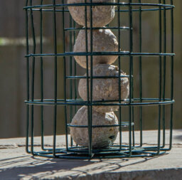 Samuel Alexander Metal Hanging Bird Fat Ball Feeder With Squirrel Guard & Pack Of 6 Suet Fat Balls - thumbnail 9