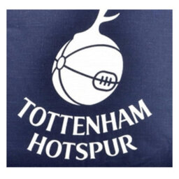 Tottenham Hotspur Fc Official Football Crest Cushion Navy/white (One Size) - thumbnail 2