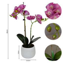 GreenBrokers Elegant Double Stem Purple Real Touch Artificial Potted Orchid (46Cm) In Round White Ceramic Pot - thumbnail 4