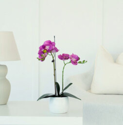 GreenBrokers Elegant Double Stem Purple Real Touch Artificial Potted Orchid (46Cm) In Round White Ceramic Pot - thumbnail 2