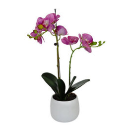 GreenBrokers Elegant Double Stem Purple Real Touch Artificial Potted Orchid (46Cm) In Round White Ceramic Pot - thumbnail 3