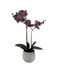 GreenBrokers Elegant Double Stem Purple Real Touch Artificial Potted Orchid (46Cm) In Round White Ceramic Pot - thumbnail 1