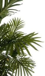 Leaf 180Cm Artificial Tropical Palm Tree - thumbnail 5