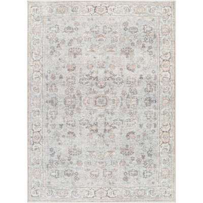 Livabliss Our Pnw Home Olympic-Vintage Grey Brown Beige Traditional Boho Living Dining Bedroom Rug 160 X 213 Cm Easy Care, Non Shedding - image 1