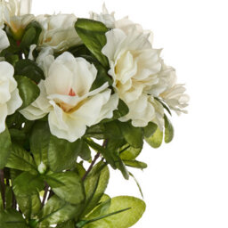 Wyld And Coco Artificial Potted Rhododendron Plant White Flowers 36 Cm - Ready To Display - thumbnail 3