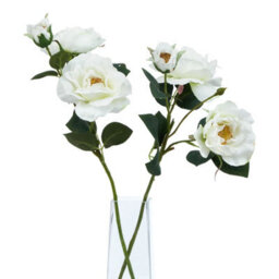 Wyld Haus Set Of 3 White Tea Rose Artificial Flower Stems - 600mm Tall - thumbnail 3