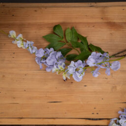 Hill Interiors Artificial Wisteria Plant Lilac (One Size) - thumbnail 2