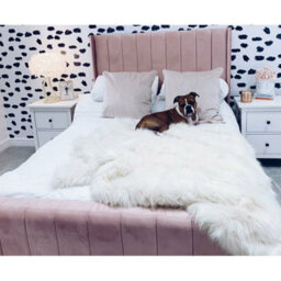 Stratus Interiors Oulton Wing Back Panelled Bed Frame - Add Professional Assembly And Delivery To Room Of Choice - Single - No Storage Type - thumbnail 6