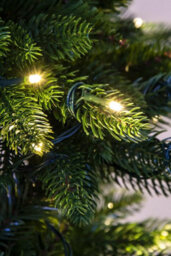 Christmas Tree World The 8Ft/240Cm Outdoor Pre-Lit Ultra Slim Mixed Pine - thumbnail 8