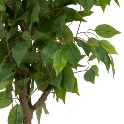 Candlelight 107Cm Green & Black Ficus Tree Artificial Plant In Black Pot - thumbnail 2