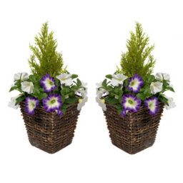 Greenbrokers 2 X Artificial Dark Purple & White Petunias Rattan Patio Planters