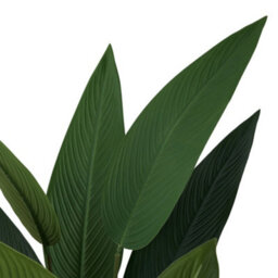 Living And Home Artificial Bird Of Paradise Potted Plant, 160Cm - thumbnail 3