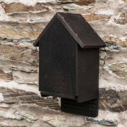 Buttercup Farm Cavity Bat Box - Plywood/ceramic - L15 X W24 X H38 Cm - thumbnail 2