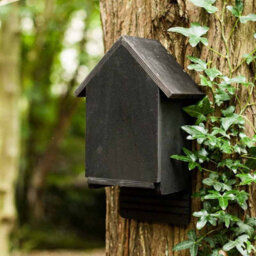 Buttercup Farm Cavity Bat Box - Plywood/ceramic - L15 X W24 X H38 Cm - thumbnail 4
