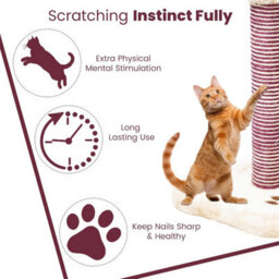 Wadan Cat Scratching Post With Soft Plush Base, Hanging Toy And Durable Sisal Rope Scratch Pole For Indoor Cats And Kittens - thumbnail 5