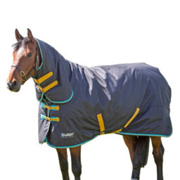 "Tempest Original 300 Horse Turnout Rug Black (5 3"")" - thumbnail 2