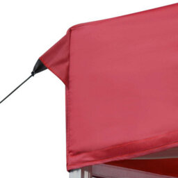 Berkfield Professional Folding Party Tent Aluminium 6X3 M Wine Red - thumbnail 7