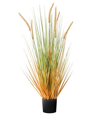 Wyld And Coco 90 Cm Artificial Bristlegrass Plant With Orange Flower Spikes In Black Pot - Ready To Display - image 1