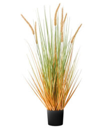 Wyld And Coco 90 Cm Artificial Bristlegrass Plant With Orange Flower Spikes In Black Pot - Ready To Display - thumbnail 1
