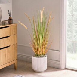Wyld And Coco 90 Cm Artificial Bristlegrass Plant With Orange Flower Spikes In Black Pot - Ready To Display - thumbnail 2