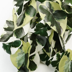 Leaf 40Cm Artificial Trailing Variegated Marble Pothos Plant - thumbnail 2