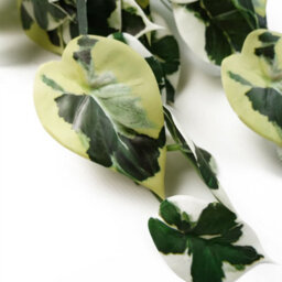 Leaf 40Cm Artificial Trailing Variegated Marble Pothos Plant - thumbnail 3
